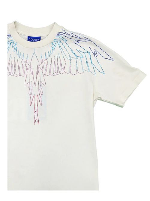  COUNTY OF MILAN | S6CMJGTH110412